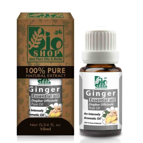Ginger Essential oil